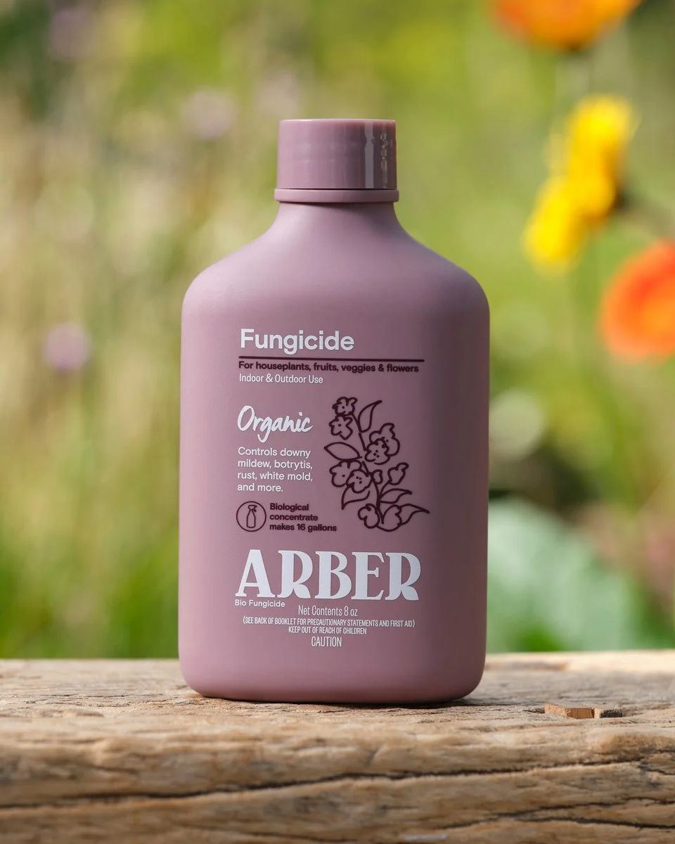 Arber Packaging Design