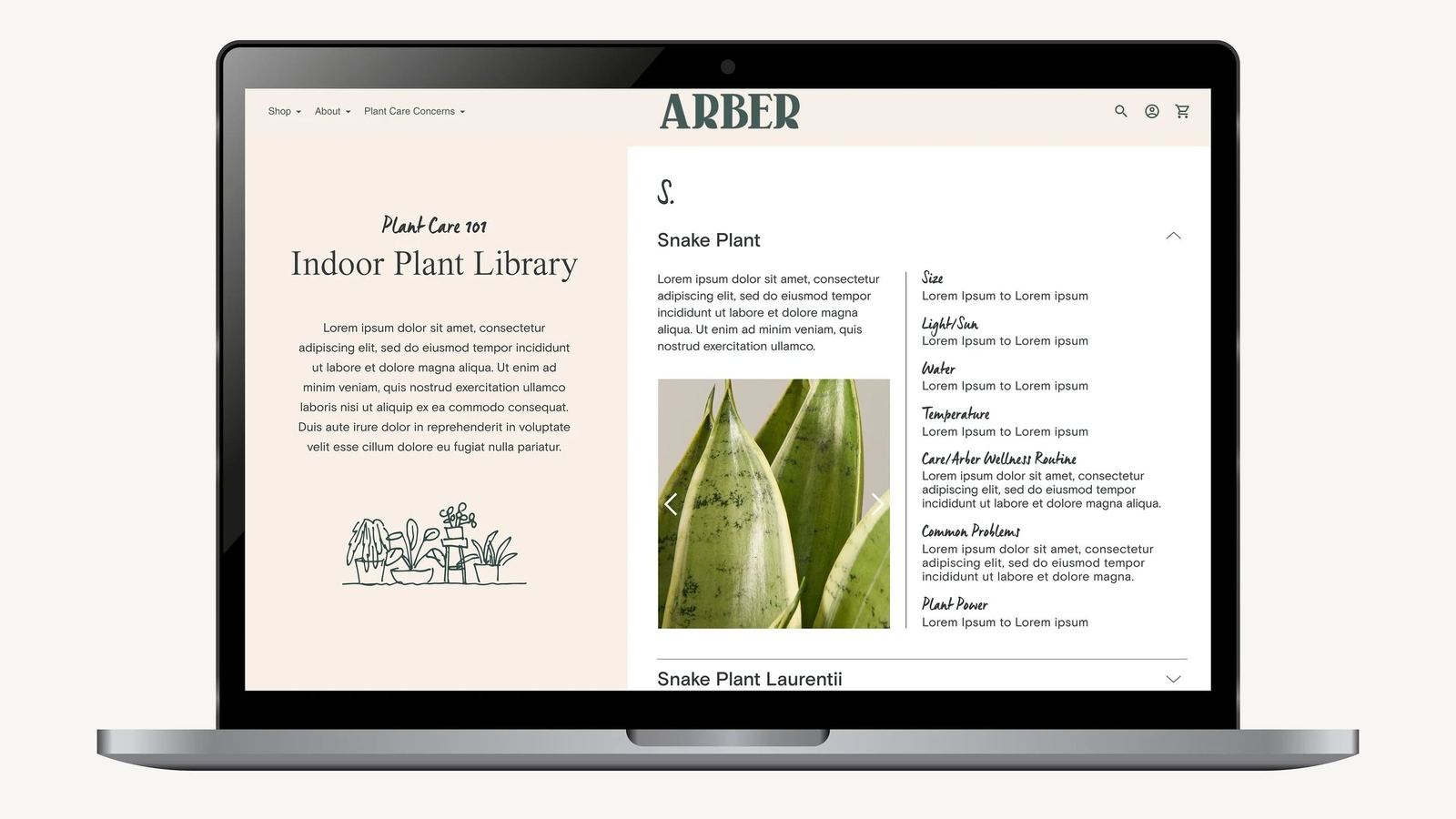 Arber Website — image